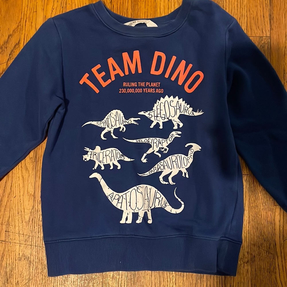 H&M boys sweatshirt. Size 4-6